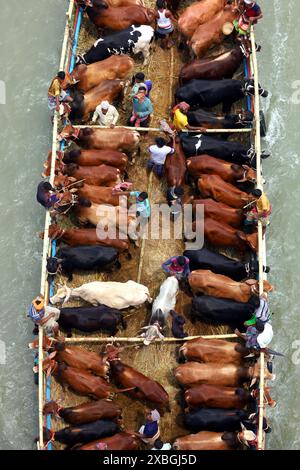 Dacca, Dacca, Bangladesh. 12 giugno 2024. I commercianti allineano il loro bestiame in barche strette a motore e li portano al mercato delle mucche sul fiume Buriganga a Dacca per venderlo in occasione del santo Eid al-Adha. Prima di Eid, il bestiame viene rifornito in barca come mezzo di facile trasporto ai mercati delle mucche sul fiume. Milioni di animali sono sacrificati in Bangladesh durante il santo Eid al-Adha. Migliaia di mucche e capre vengono vendute ogni giorno in ogni mercato animale in tutto il paese. Crediti: ZUMA Press, Inc./Alamy Live News Foto Stock