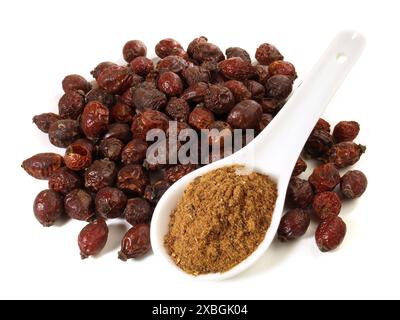 Rosehip essiccato con polvere di frutta isolata su sfondo bianco Foto Stock