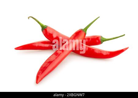 percorso lungo del peperoncino isolato su bianco Foto Stock