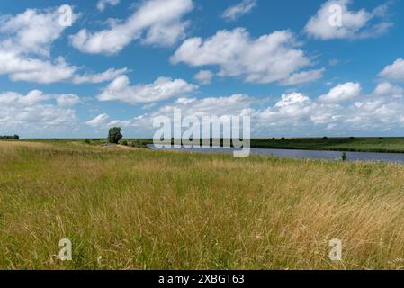 Geografia / viaggi, Germania, bassa Sassonia, paesaggio a Leyhoerner-Sieltief, Greetsiel, ULTERIORI-DIRITTI-AUTORIZZAZIONE-INFORMAZIONI-NON-DISPONIBILI Foto Stock