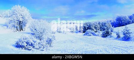 Paesaggio invernale natalizio. Neve sull'altopiano ai-Petri. Crimea Foto Stock