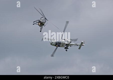 Royal Navy Wildcat, RAF Cosford Airshow, Midlands, Regno Unito, 9 maggio 2024 Foto Stock