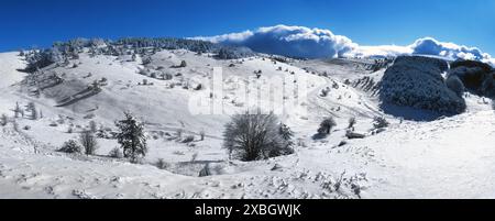 Paesaggio invernale. Neve sull'altopiano ai-Petri. Crimea Foto Stock