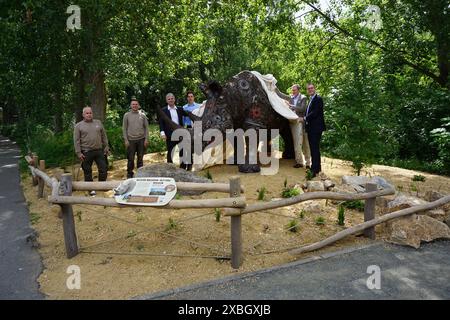 Berlino, Germania. 12 giugno 2024. L'inaugurazione di una scultura di rinoceronte creata da un artista africano a partire da catene di biciclette e parti di motori, nello zoo Tierpark di Berlino, Germania, 12 giugno 2024. Insieme allo zoo Dvur Kralove, lo zoo di Tierpark diventerà il luogo in cui salvare i rinoceronti bianchi del nord quasi estinti, costruendo un centro di ricerca e allevamento dove nasceranno i bambini di rinoceronte bianco attraverso la riproduzione artificiale. Crediti: Ales Zapotocky/CTK Photo/Alamy Live News Foto Stock