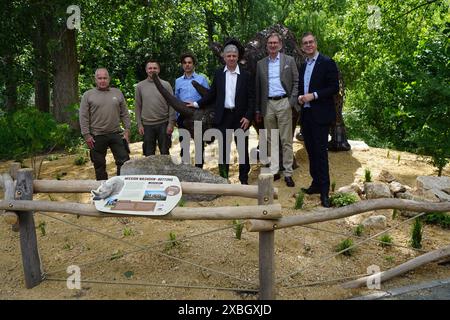 Berlino, Germania. 12 giugno 2024. L'inaugurazione di una scultura di rinoceronte creata da un artista africano a partire da catene di biciclette e parti di motori, nello zoo Tierpark di Berlino, Germania, 12 giugno 2024. Insieme allo zoo Dvur Kralove, lo zoo di Tierpark diventerà il luogo in cui salvare i rinoceronti bianchi del nord quasi estinti, costruendo un centro di ricerca e allevamento dove nasceranno i bambini di rinoceronte bianco attraverso la riproduzione artificiale. Crediti: Ales Zapotocky/CTK Photo/Alamy Live News Foto Stock