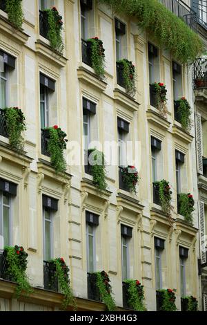 fiori che crescono su un balcone Foto Stock