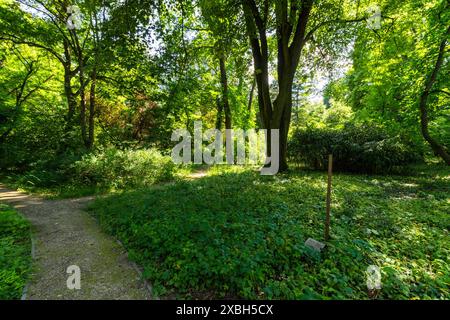 Giardino botanico dell'Università di Sopron, Sopron, Ungheria Foto Stock