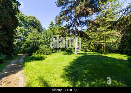 Giardino botanico dell'Università di Sopron, Sopron, Ungheria Foto Stock