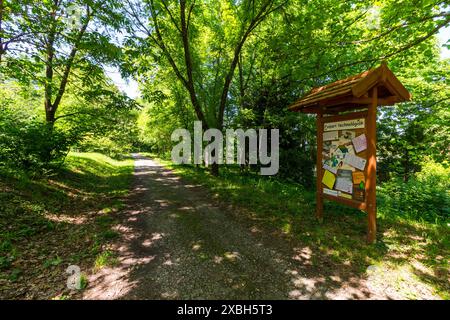 Giardino botanico dell'Università di Sopron, Sopron, Ungheria Foto Stock