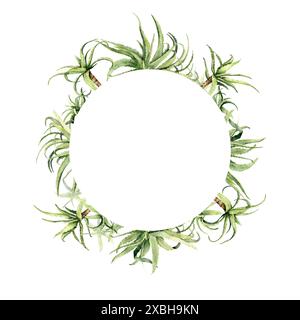 Telaio circolare in aloe vera acquerello. Foto Stock