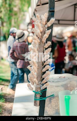 dolci fatti a mano in panela posti su un bastone di legno per la vendita in un parco Foto Stock