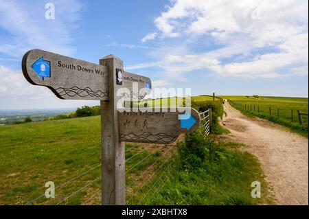 Cartello in legno con tre direzioni su South Downs Way vicino a Clayton, West Sussex, Inghilterra. Foto Stock