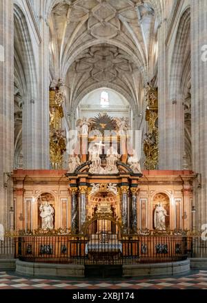 Segovia, Spagna - 7 aprile 2024: Veduta del retrocoro della Cattedrale di Segovia Foto Stock