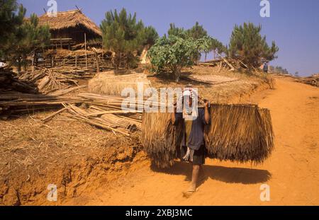 Villaggio di Akha sulle montagne della Thailandia settentrionale 1995. Una giovane donna in costume tradizionale nativo di tutti i giorni, porta con sé il thatching per una nuova casa che viene costruita. HOMER SYKES anni '1990 Foto Stock