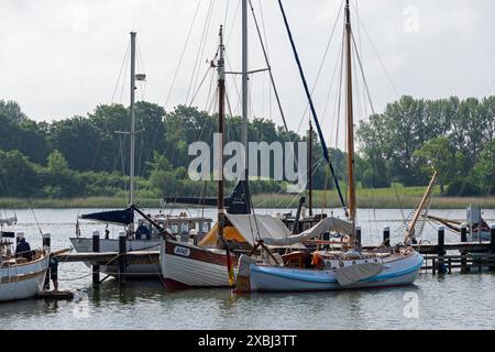 Barche, porto museale, Kappeln, Schlei, Schleswig-Holstein, Germania Foto Stock