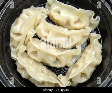 primo piano di gnocchi cinesi al vapore in un contenitore da asporto (piatto antipasto dim sum ripieno di carne di maiale asiatica) scatola di plastica nera da asporto (cottura a vapore) Foto Stock