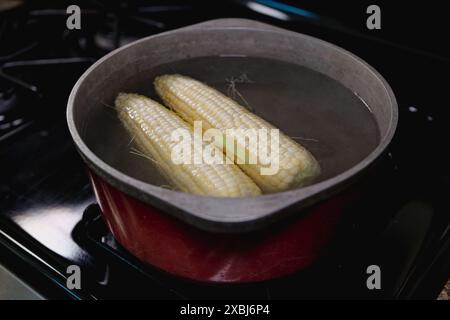 Un primo piano di due orecchie di mais bollite in una pentola rossa su un piano cottura Foto Stock