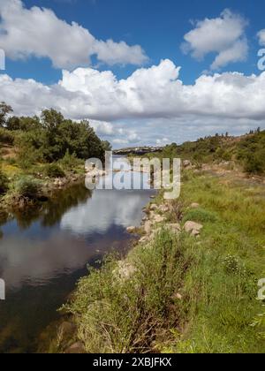 Il fiume Tago si snoda attraverso un paesaggio lussureggiante a Vila Nova da Barquinha, con soffici nuvole che si riflettono sulla superficie dell'acqua calma. La vegetazione è sparsa Foto Stock