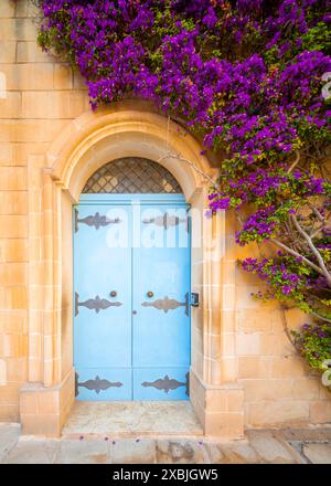 Bellissima attrazione a Mdina (la città silenziosa). Vista fantastica su un muro di casa giallo con porta azzurra e fiori viola Foto Stock