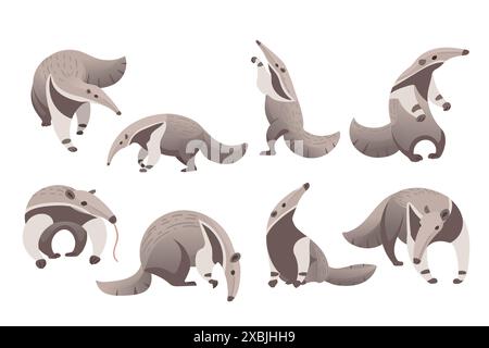 Set di carini illustrazioni vettoriali per animali cartoni animati di Anteater isolati su sfondo bianco. Illustrazione Vettoriale