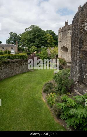 Walmer Castle vicino a Deal e dover nel Kent, casa dei signori guardiani dei cinque porti e della Regina madre Foto Stock