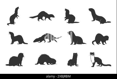 Silhouette Ferret, pacchetto Ferret, silhouette Weasel, set di vettori animali Ferret Illustrazione Vettoriale