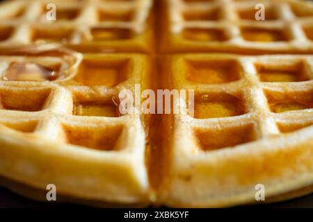 Vista ravvicinata di un waffle con miele crudo di provenienza locale. Foto Stock