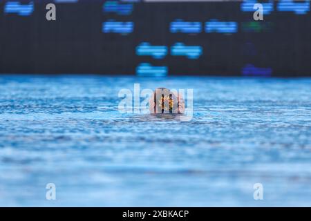 BELGRADO, SERBIA - 12 GIUGNO: Bregje de Brouwer dei Paesi Bassi, Noortje de Brouwer dei Paesi Bassi durante il terzo giorno dei Campionati europei di acqua 2024 il 12 giugno 2024 a Belgrado, Serbia. (Foto di Nikola Krstic/BSR Agency) Foto Stock