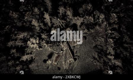 Si è schiantato un aereo militare nel mezzo di una foresta Foto Stock