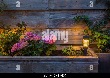 Piccola lanterna solare nella piantatrice. Lampada solare in giardino Foto Stock