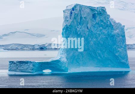 Iceberg, canale di Neumayer, arcipelago Palmer, Penisola Antartica, Antartide Foto Stock