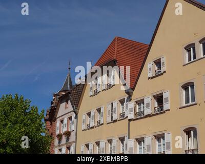 Case tradizionali in un centro storico con tetti ripidi e molte finestre, Wissembourg, Alsazia, Francia Foto Stock