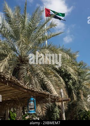 Palma e bandiera che sventolano nel vento, lampada appesa sotto un tetto di fronde di palme, abu dhabi, emirati arabi uniti Foto Stock