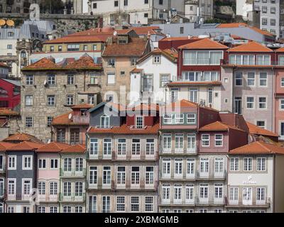 Edifici residenziali interconnessi con tetti piastrellati e numerose finestre in un centro storico densamente costruito, Porto, Douro, Portogallo Foto Stock