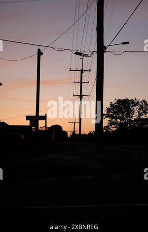 Sagoma di pali elettrici una rete di linee elettriche dell'alimentazione elettrica suburbana contro un morbido cielo arancione serale a Brisbane, Australia Foto Stock