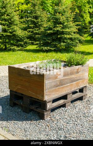 Box da giardino per la coltivazione di piante nel giardino sul retro. Letti di legno per agricoltura domestica. Foto di alta qualità Foto Stock