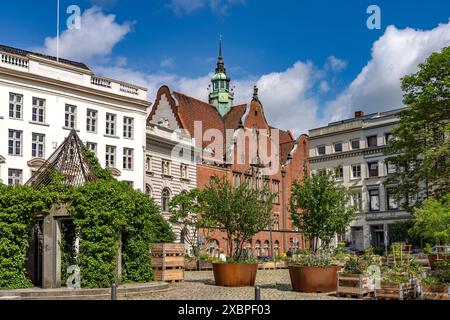 Blumenkästen am Geibelplatz und die Ernestinenschule in der Hansestadt Lübeck, Schleswig-Holstein, Deutschland | Plant container on Geibel Square AN Foto Stock