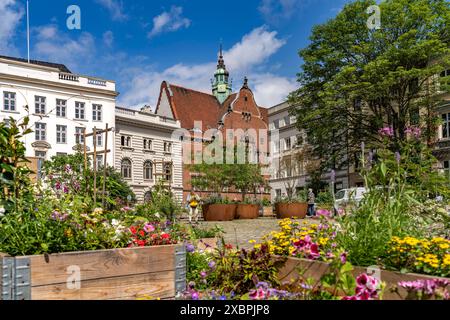 Ernestinenschule Blumenkästen am Geibelplatz und die Ernestinenschule in der Hansestadt Lübeck, Schleswig-Holstein, Deutschland Plant Container on Gei Foto Stock