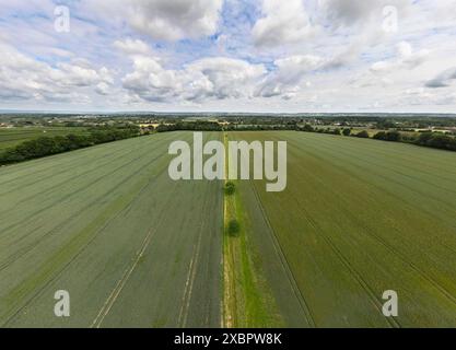 Vista dei terreni agricoli attraverso il Weald of Kent, guardando a nord dal villaggio di Chart Sutton vicino a Maidstone, Kent, Regno Unito. Metà giugno Foto Stock