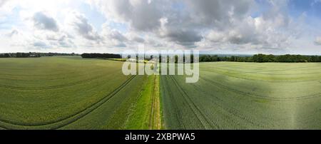 Vista panoramica dei terreni coltivati attraverso il Weald of Kent guardando a sud dal villaggio di Chart Sutton vicino a Maidstone, Kent, Regno Unito. Metà giugno Foto Stock