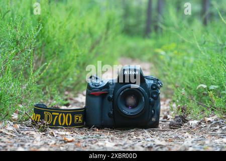 La leggendaria fotocamera Nikon D700 si trova su un sentiero nella foresta Foto Stock