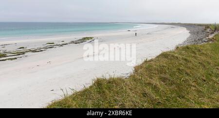 Whitemill Bay, Sanday, Isole Orcadi, Scozia Foto Stock