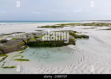 Whitemill Bay, Sanday, Isole Orcadi, Scozia Foto Stock