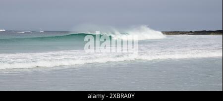 Whitemill Bay, Sanday, Isole Orcadi, Scozia Foto Stock