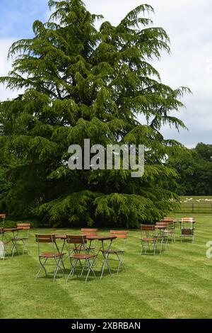 Cena sul prato Foto Stock