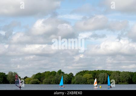 Bacino idrico di Alton vicino a Ipswich, Suffolk, Inghilterra Foto Stock