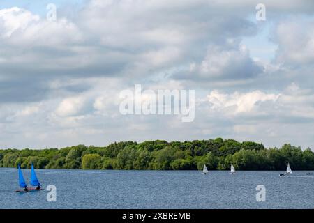 Bacino idrico di Alton vicino a Ipswich, Suffolk, Inghilterra Foto Stock