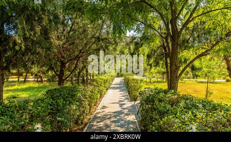 Vicolo nel parco di Caspiysk nel Daghestan Foto Stock