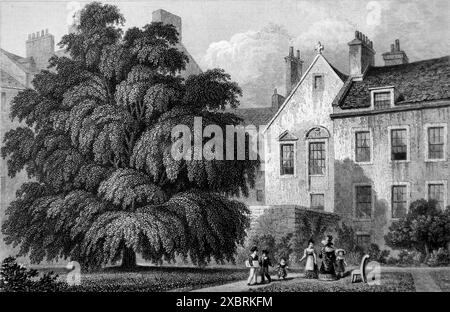 La Levee Room nella Regent Murray's House, vista dal giardino con la notevole spina piantata dalla regina Mary, incisa da J. B. Allen. Questo è da un'incisione risalente al 1832 realizzata con un disegno ad acquerello di Thomas H. Shepherd (1793-1864). All'epoca, nel 1832, Guglielmo IV era re, circa cinque anni prima che la regina Vittoria salisse al trono. Questo e altri che ho nella serie sono stati utilizzati per illustrare le somiglianze architettoniche tra Atene ed Edimburgo (Scozia) e i suoi dintorni all'epoca. Nota: Alcuni originali erano dotati di foxing che potrebbe risultare leggermente più scura Foto Stock