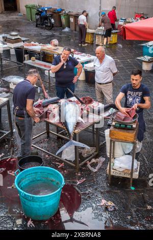 Preparazione del tonno appena pescato al mercato ittico mattutino A' piscina, a Catania, Sicilia, Italia Foto Stock